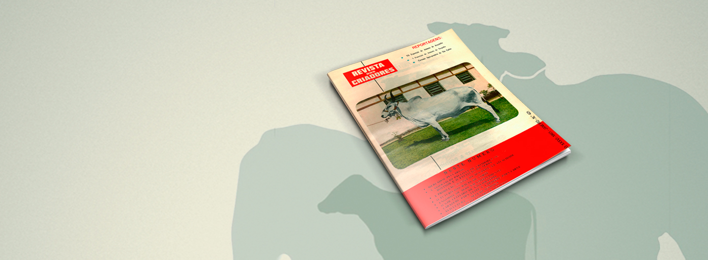 Revista <br> dos Criadores
